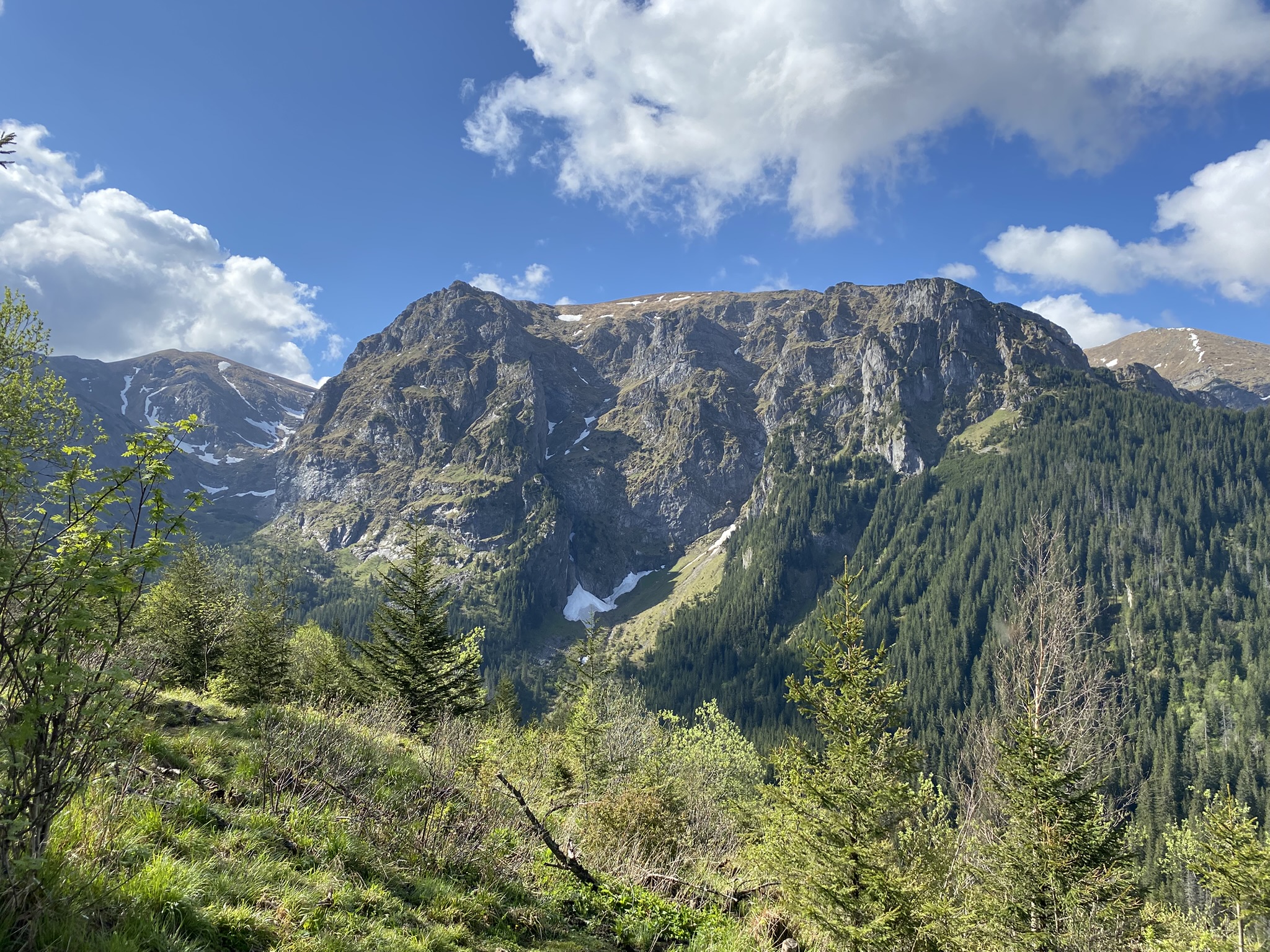 Diadem - Klimczok i Błatnia